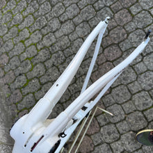 Carica l'immagine nel visualizzatore di Gallery, Colnago C64