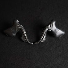 Carica l'immagine nel visualizzatore di Gallery, Campagnolo Record Titanium