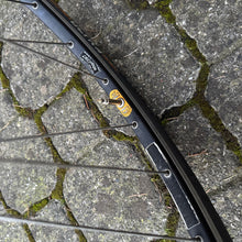 Carica l'immagine nel visualizzatore di Gallery, Ambrosio Excellence TQB - Campagnolo Record hubs