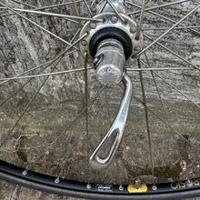 Carica l'immagine nel visualizzatore di Gallery, Ambrosio Excellence - Campagnolo Record hubs