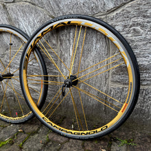 Carica l'immagine nel visualizzatore di Gallery, Campagnolo Shamal Ultra Oro