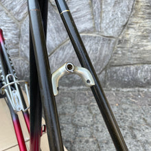 Carica l'immagine nel visualizzatore di Gallery, Colnago Carbitubo