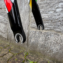 Carica l'immagine nel visualizzatore di Gallery, Colnago EPS