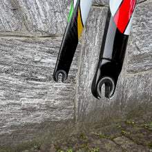 Carica l'immagine nel visualizzatore di Gallery, Colnago EPS