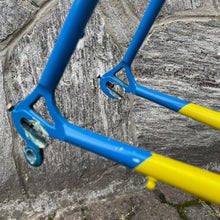 Carica l'immagine nel visualizzatore di Gallery, Daccordi Mitico