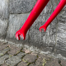 Carica l'immagine nel visualizzatore di Gallery, Daccordi Mitico