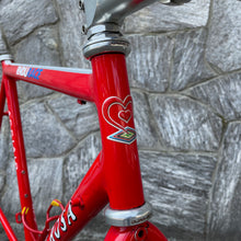 Carica l'immagine nel visualizzatore di Gallery, De Rosa Endurace