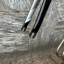 Carica l'immagine nel visualizzatore di Gallery, Trek Emonda SLR