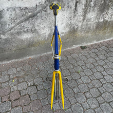 Carica l'immagine nel visualizzatore di Gallery, Narcisi by Columbus