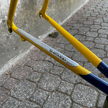 Carica l'immagine nel visualizzatore di Gallery, Narcisi by Columbus