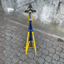 Carica l'immagine nel visualizzatore di Gallery, Narcisi by Columbus