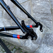 Carica l'immagine nel visualizzatore di Gallery, Trek Elite 9.8 OCLV
