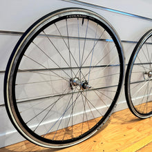 Carica l'immagine nel visualizzatore di Gallery, Ambrosio Colnago
