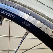 Carica l'immagine nel visualizzatore di Gallery, Ambrosio Colnago
