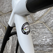Carica l&#39;immagine nel visualizzatore di Gallery, Colnago C64
