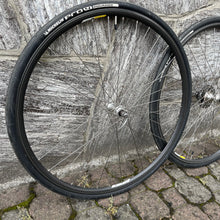 Carica l&#39;immagine nel visualizzatore di Gallery, Campagnolo Omega
